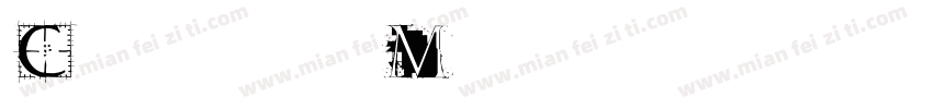 Champ Medium字体转换